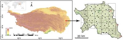 Spatial distribution and ecological risk assessment of heavy metals in alpine grasslands of the Zoige Basin, China